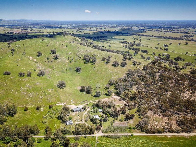 Photo - 237 Long Gully Road, Violet Town VIC 3669 - Image 24