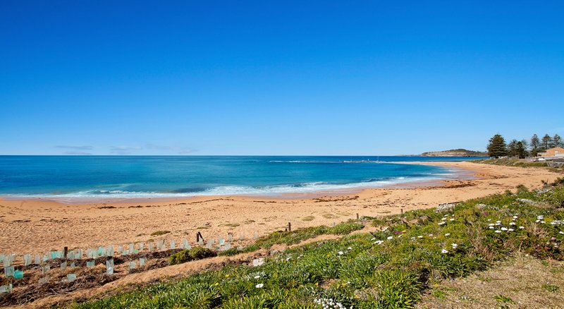 Photo - 2/37 Surfview Road, Mona Vale NSW 2103 - Image 1