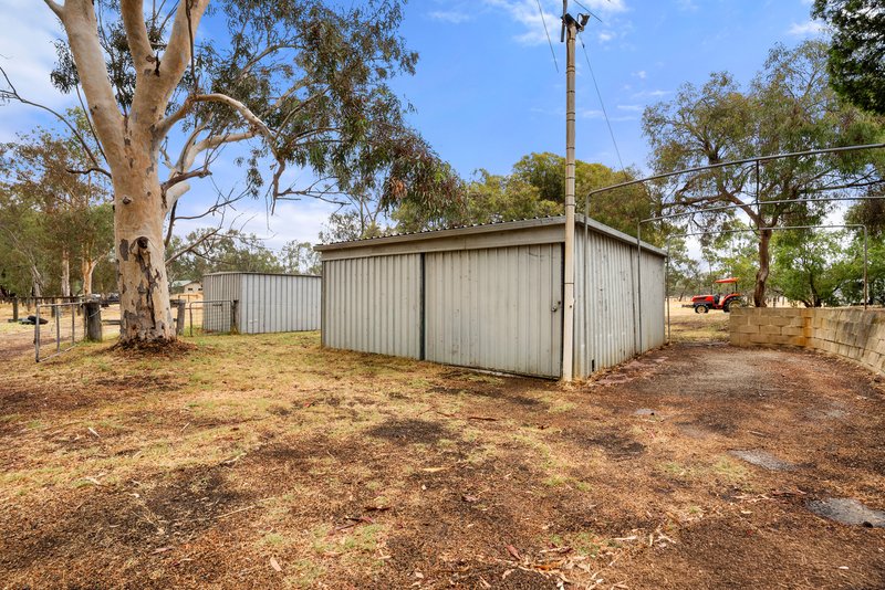 Photo - 237 Young Road, Baldivis WA 6171 - Image 17