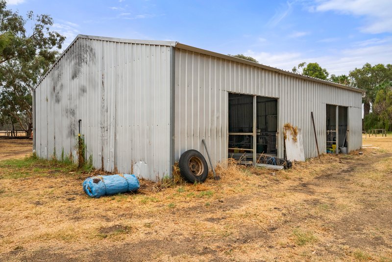 Photo - 237 Young Road, Baldivis WA 6171 - Image 18