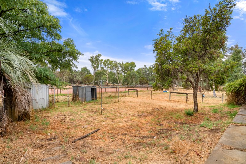 Photo - 237 Young Road, Baldivis WA 6171 - Image 20