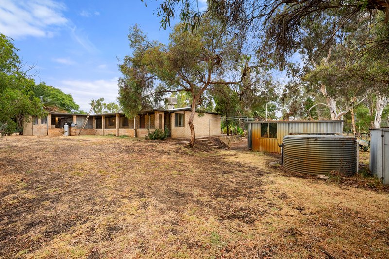 Photo - 237 Young Road, Baldivis WA 6171 - Image 22