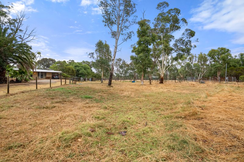 Photo - 237 Young Road, Baldivis WA 6171 - Image 25