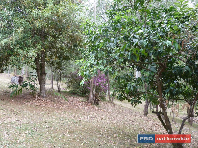 Photo - 2376 Collins Creek Road, Kyogle NSW 2474 - Image 18