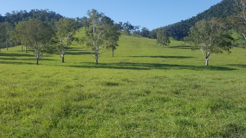 Photo - 2378 Gympie Woolooga Rd , Widgee QLD 4570 - Image 2