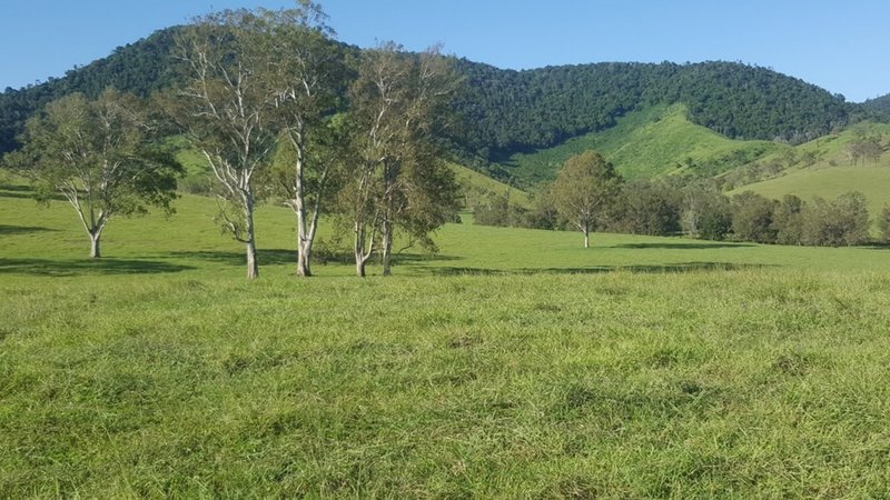 Photo - 2378 Gympie Woolooga Rd , Widgee QLD 4570 - Image 11