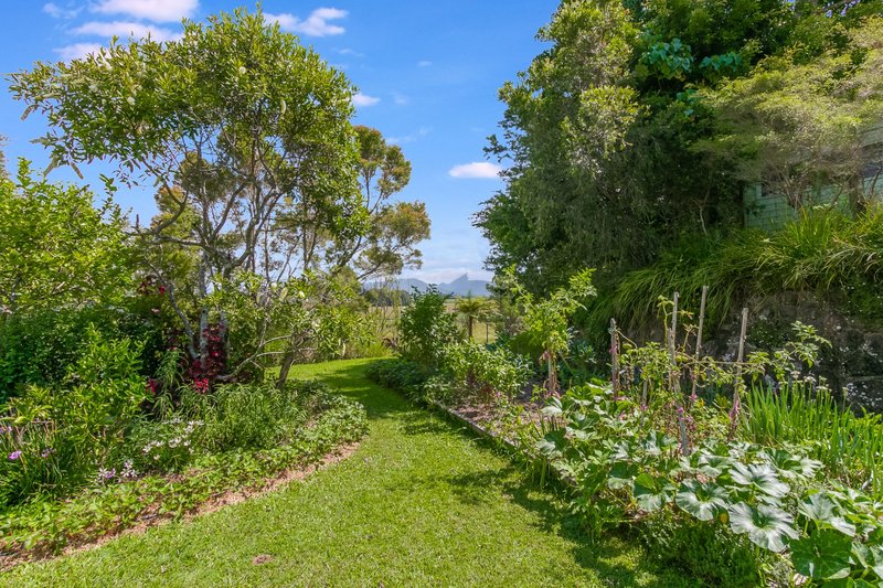 Photo - 238 Clothiers Creek Road, Nunderi NSW 2484 - Image 15