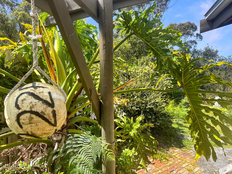 Photo - 238 Gardens Road, Binalong Bay TAS 7216 - Image 3