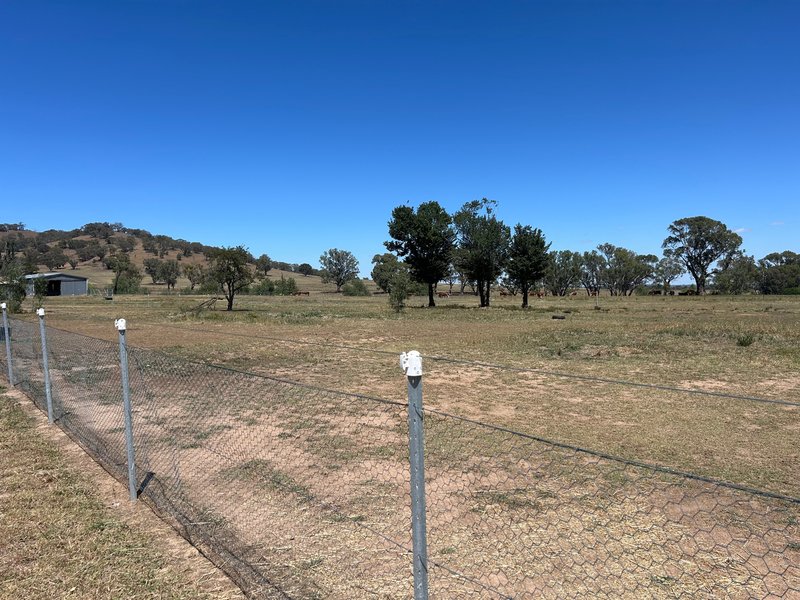 Photo - 238 Jobsons Road, Culcairn NSW 2660 - Image 10