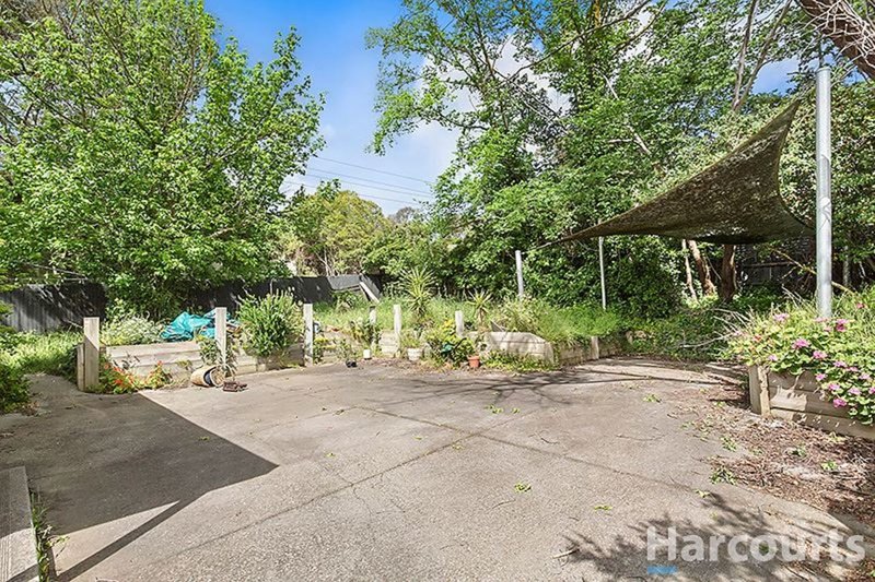 Photo - 239 Blackburn Road, Mount Waverley VIC 3149 - Image 5