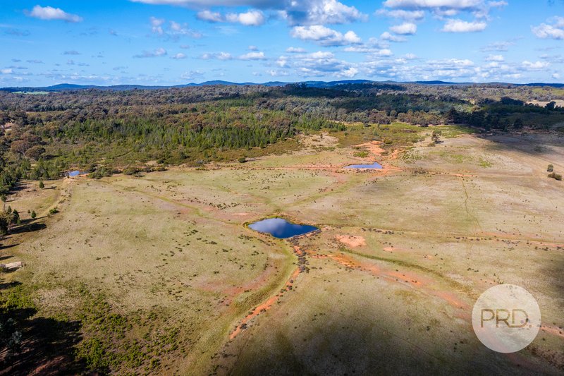 Photo - 239 Combaning School Road, Combaning NSW 2666 - Image 8