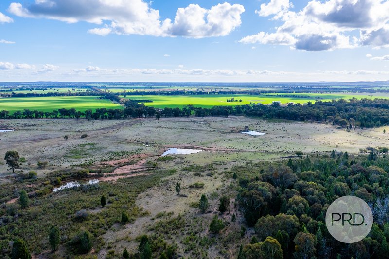 Photo - 239 Combaning School Road, Combaning NSW 2666 - Image 16