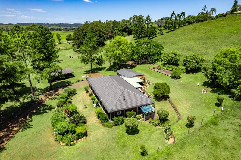 Photo - 239 Jiggi Road, Jiggi NSW 2480 - Image 17