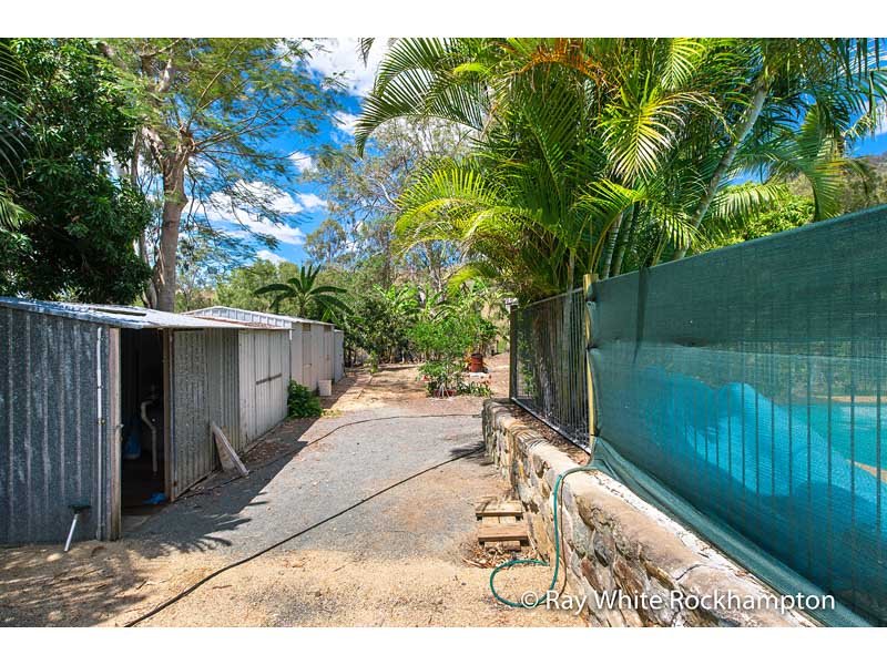 Photo - 239 Mount Usher Road, Bouldercombe QLD 4702 - Image 14