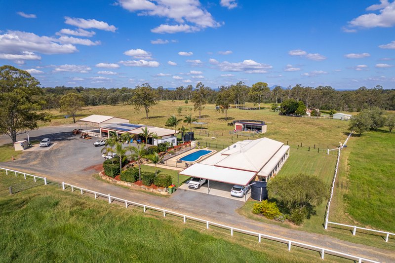 239 Poplar Street, Walloon QLD 4306