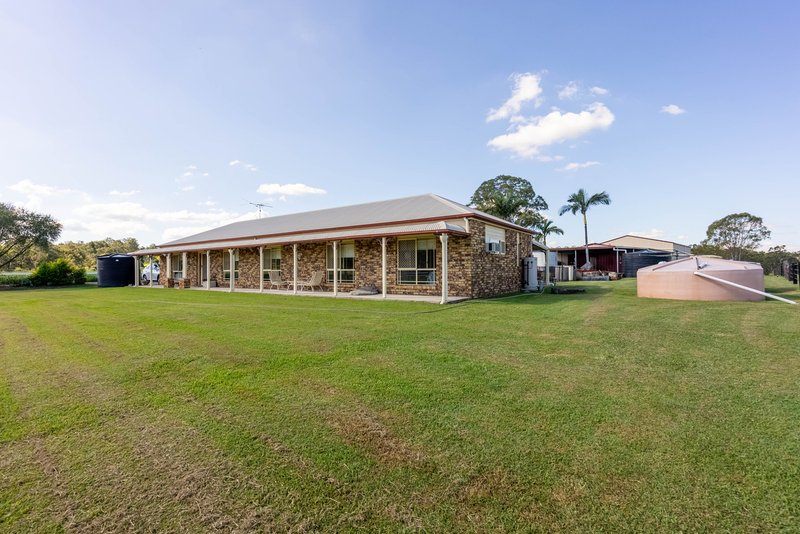 Photo - 239 Poplar Street, Walloon QLD 4306 - Image 4