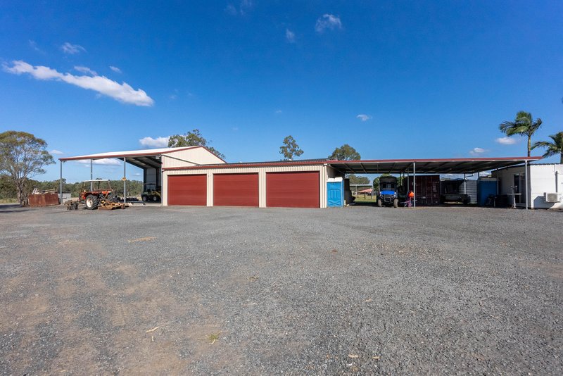 Photo - 239 Poplar Street, Walloon QLD 4306 - Image 5