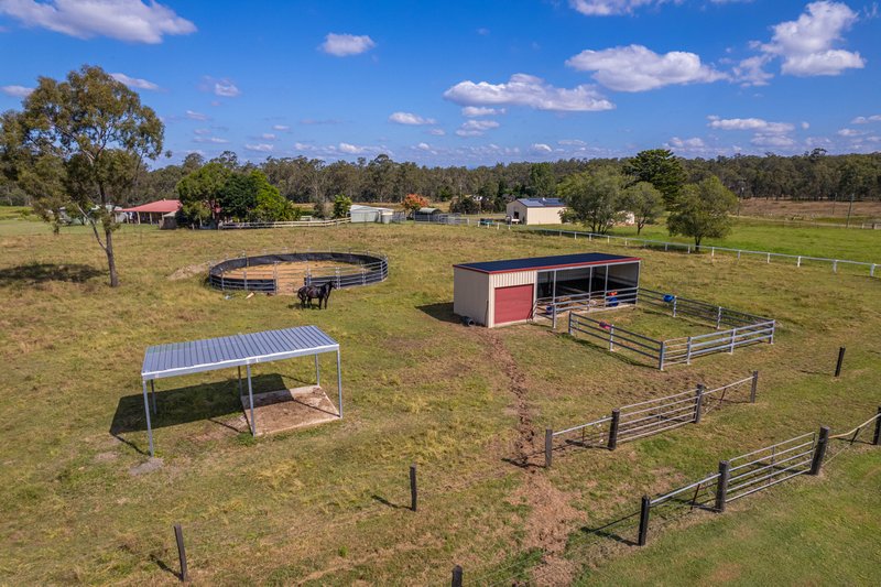 Photo - 239 Poplar Street, Walloon QLD 4306 - Image 19