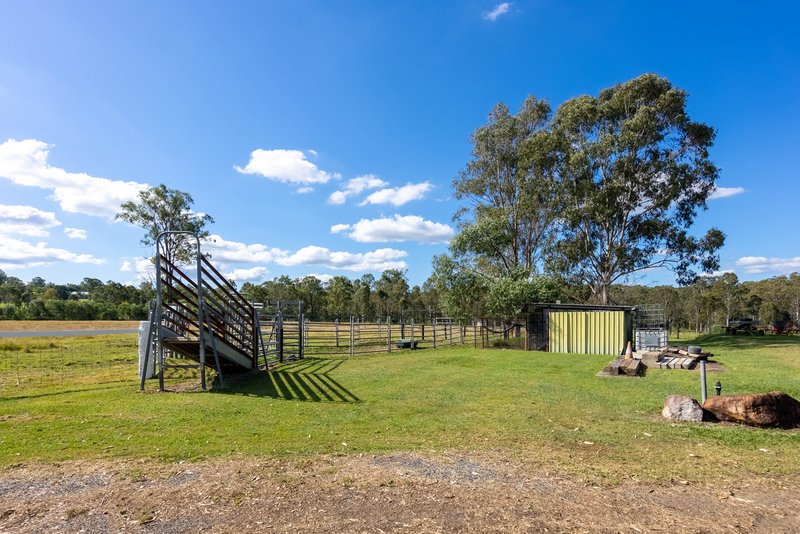 Photo - 239 Poplar Street, Walloon QLD 4306 - Image 20