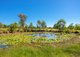 Photo - 239 Warwiba Road, Old Bar NSW 2430 - Image 23