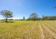 Photo - 239 Warwiba Road, Old Bar NSW 2430 - Image 24