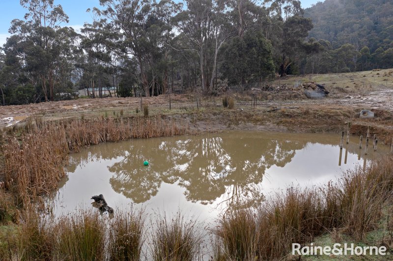 Photo - 239 Wyre Forest Road, Molesworth TAS 7140 - Image 14