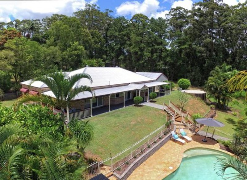 Photo - 239a Chevallum Rd , Palmwoods QLD 4555 - Image 11