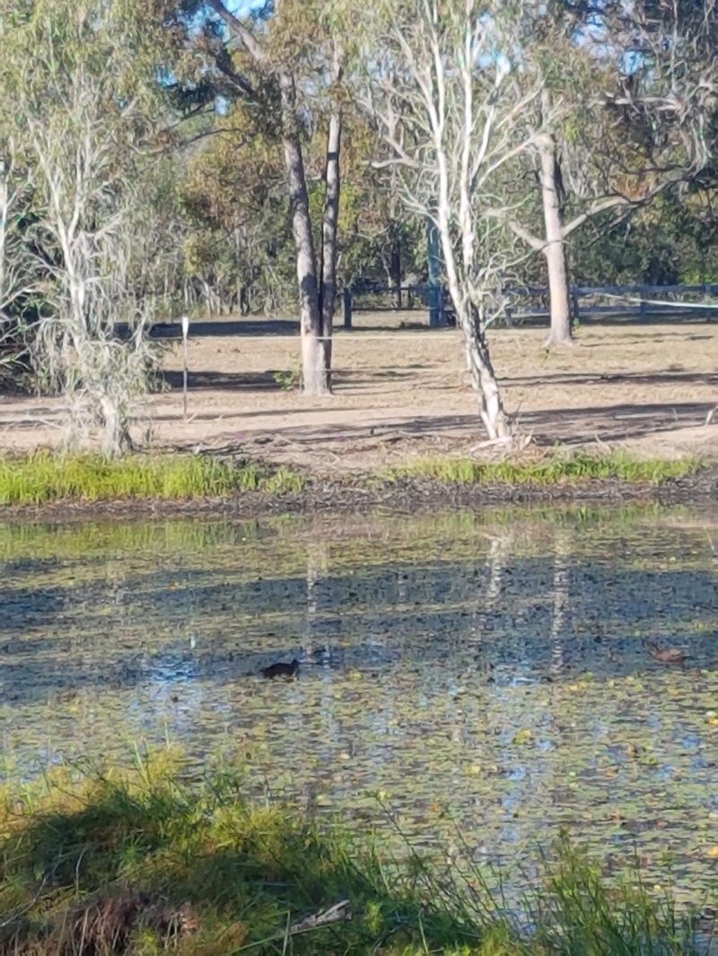 Photo - 24-26 South Heath Road, Burrum River QLD 4659 - Image 12