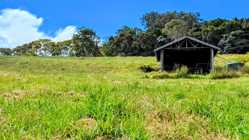 Photo - 24-34 Macdonnell Road, Tamborine Mountain QLD 4272 - Image 9