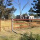 Photo - 24-44 Seidels Road, Walloon QLD 4306 - Image 3