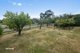 Photo - 24 Alburys Road, Huonville TAS 7109 - Image 21