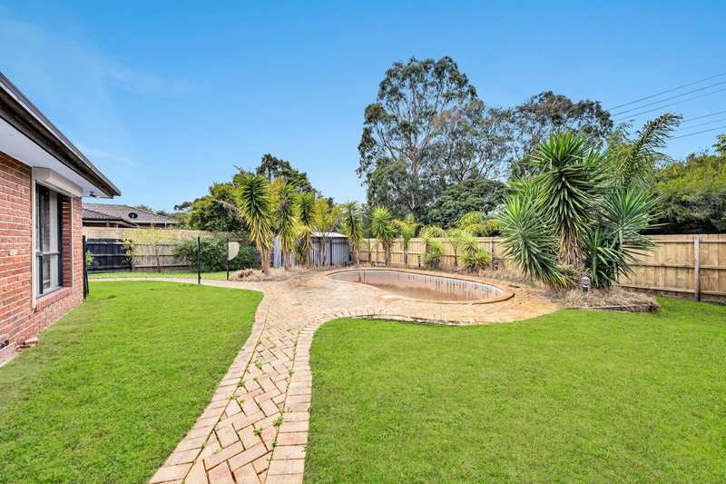 Photo - 24 Anaconda Road, Narre Warren VIC 3805 - Image 9