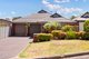 Photo - 24 Angove Park Drive, Tea Tree Gully SA 5091 - Image 24