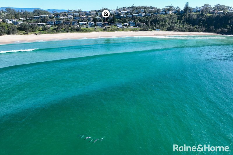 Photo - 24 Beach Road, Mollymook Beach NSW 2539 - Image 9