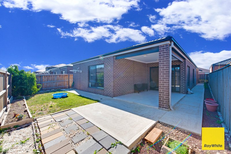 Photo - 24 Beatty Avenue, Truganina VIC 3029 - Image 14