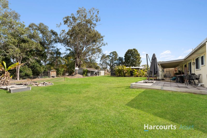 Photo - 24 Bell Street, Walloon QLD 4306 - Image 13