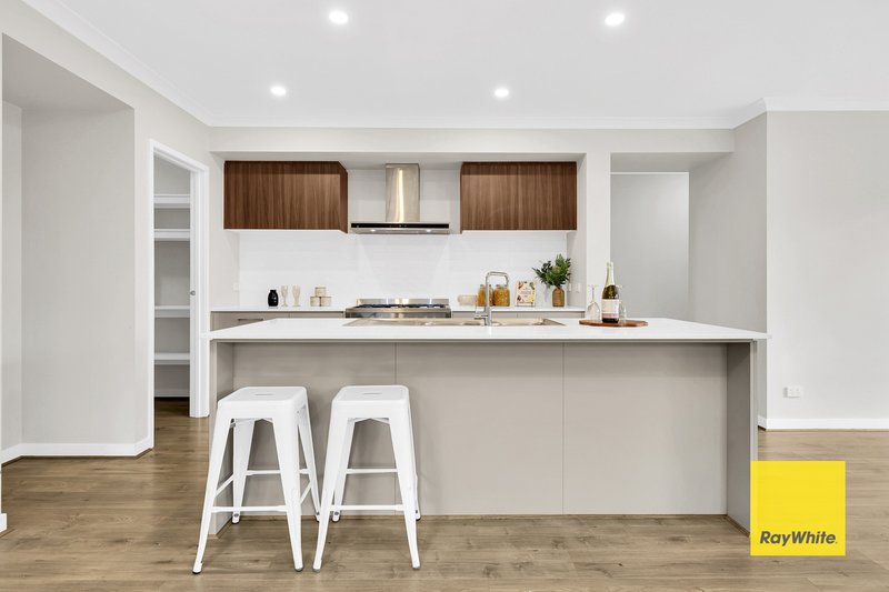 Photo - 24 Brabourne Street, Mickleham VIC 3064 - Image 5