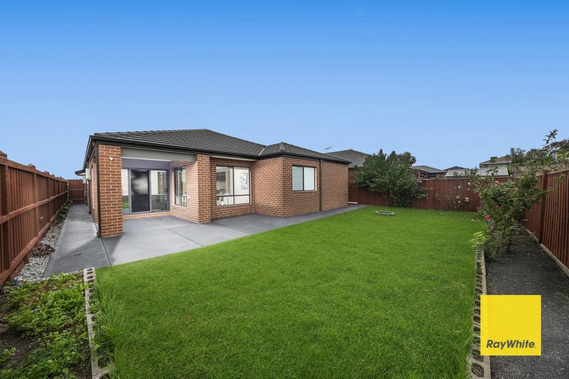 Photo - 24 Brabourne Street, Mickleham VIC 3064 - Image 17