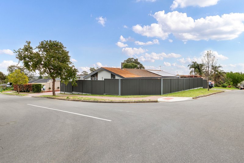 Photo - 24 Callitris Avenue, Surrey Downs SA 5126 - Image 24