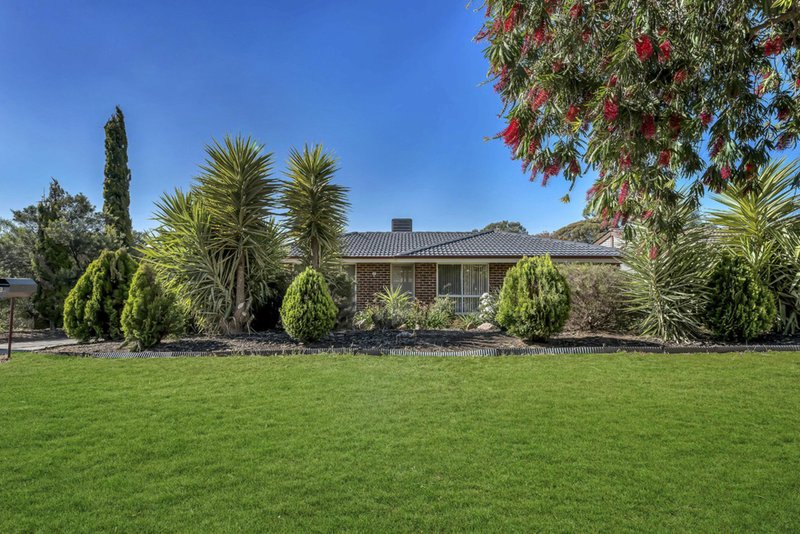 Photo - 24 Casuarina Avenue, Surrey Downs SA 5126 - Image 12