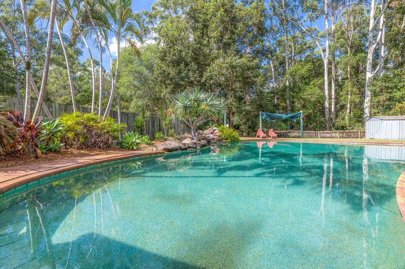 Photo - 24 Cedarleigh Drive, Tewantin QLD 4565 - Image 7