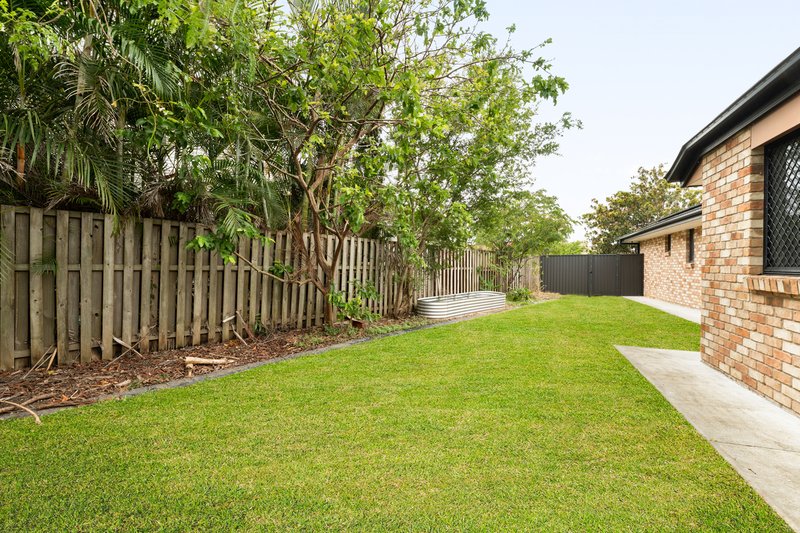 Photo - 24 Copper Crescent, Griffin QLD 4503 - Image 6