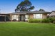 Photo - 24 Derwent Place, Bligh Park NSW 2756 - Image 1