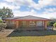 Photo - 24 Dewrang Avenue, Bradbury NSW 2560 - Image 1