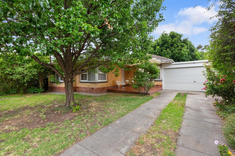 24 Elese Avenue, Campbelltown SA 5074