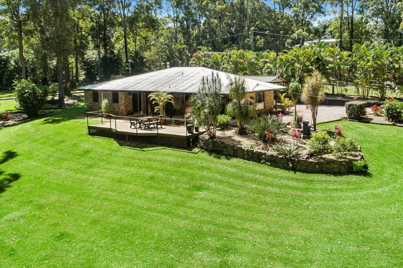 Photo - 24 Eudlo Flats Road, Kiels Mountain QLD 4559 - Image 1