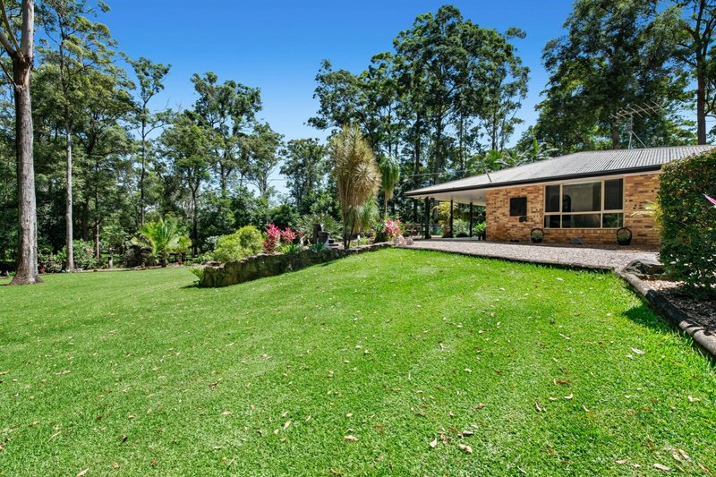 Photo - 24 Eudlo Flats Road, Kiels Mountain QLD 4559 - Image 13