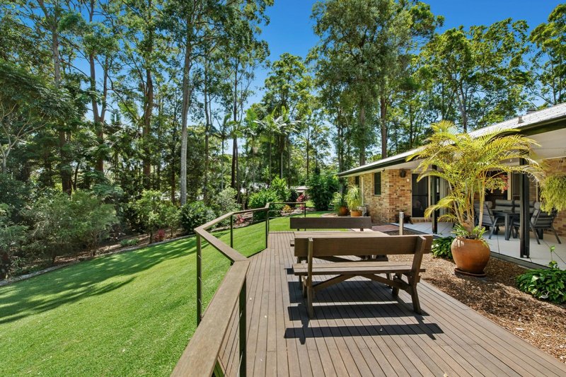 Photo - 24 Eudlo Flats Road, Kiels Mountain QLD 4559 - Image 14