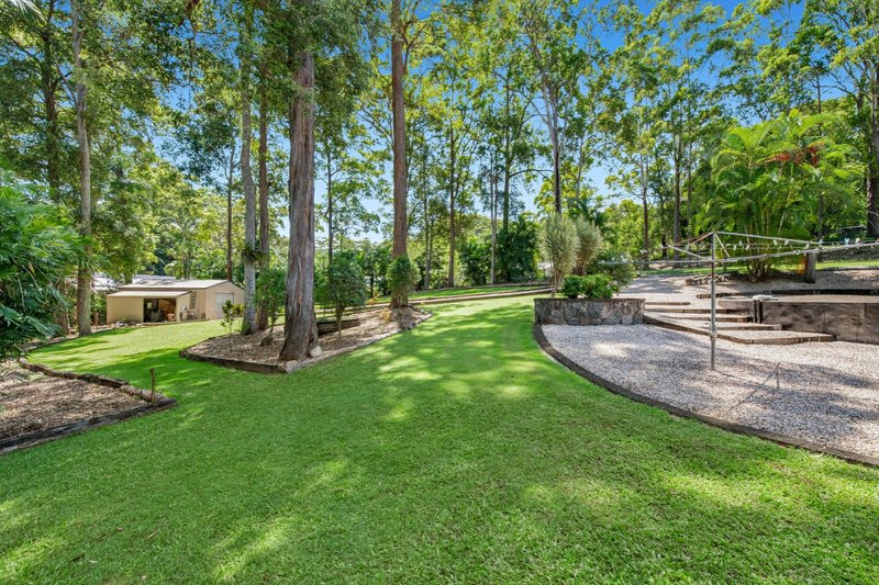 Photo - 24 Eudlo Flats Road, Kiels Mountain QLD 4559 - Image 15