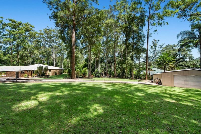 Photo - 24 Eudlo Flats Road, Kiels Mountain QLD 4559 - Image 16